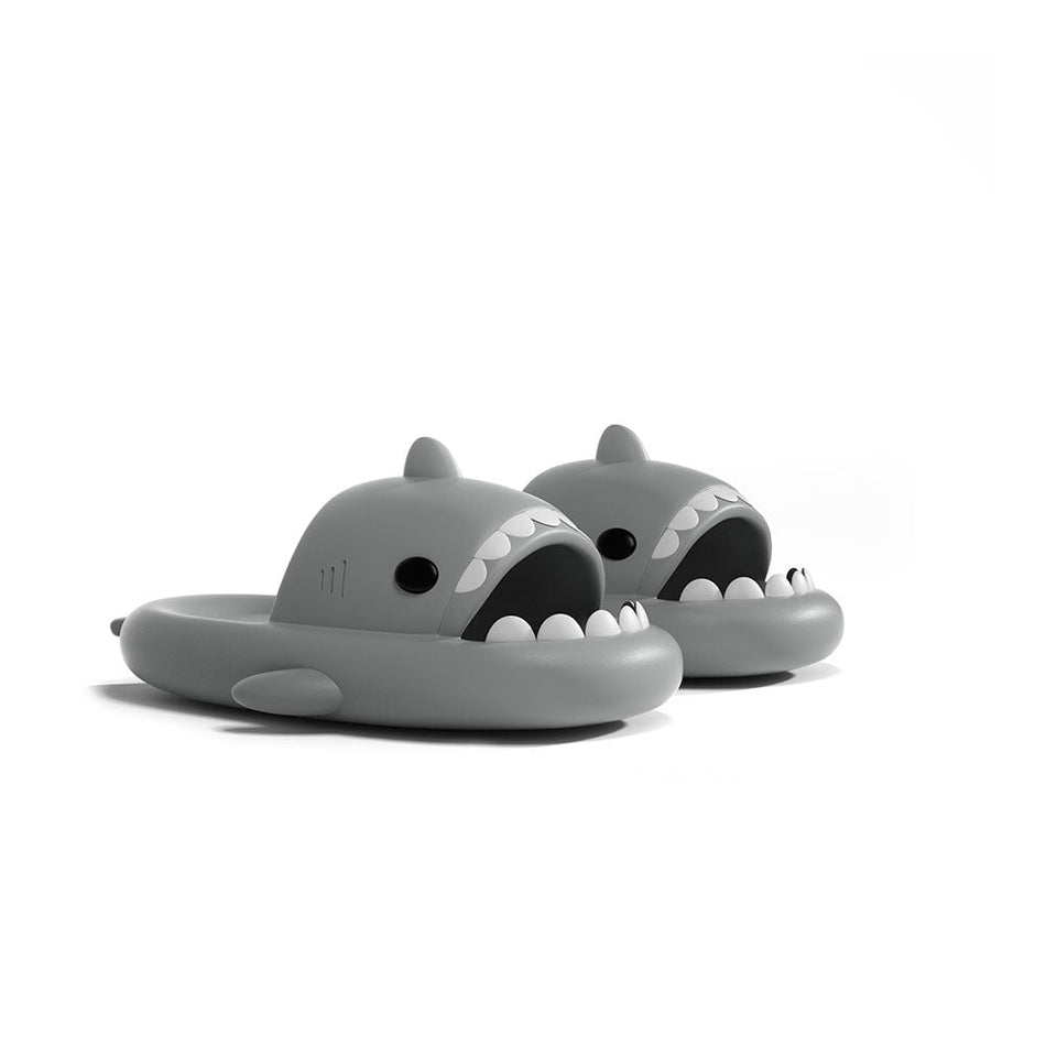 Shark Slides
