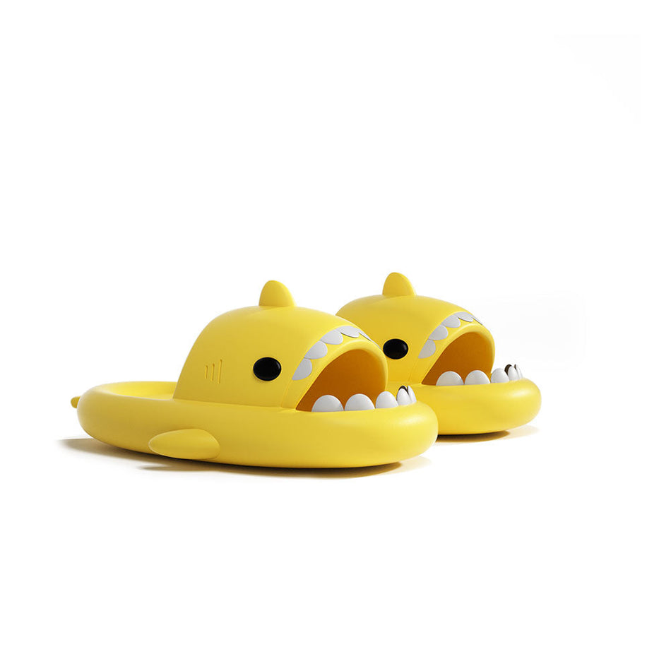 Shark Slides