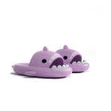 Shark Slides