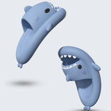 Shark Slides